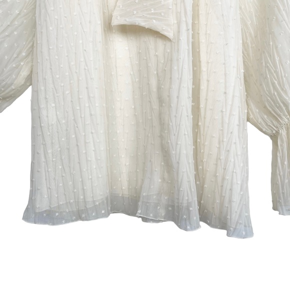 NWT Zara Swiss Dot Sheer Balloon Sleeve Mockneck Peasant Blouse With Bow - Picture 11 of 13